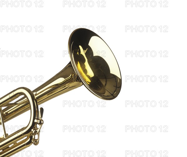 Trumpet against White Background