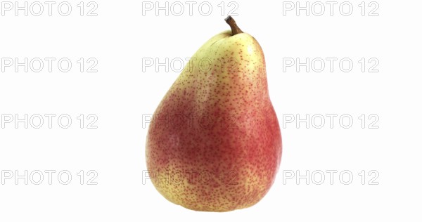 Rosemary Pear (pyrus communis), Fresh Fruit against White Background