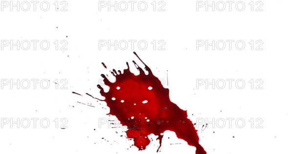 Blood Dripping against White Background