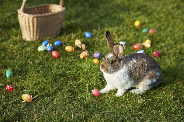 Happy easter bunny with eggs