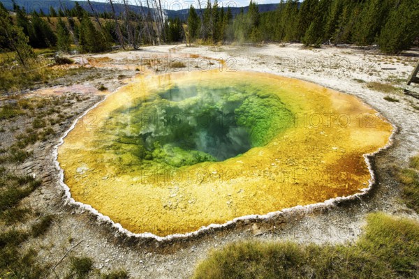 Morning Glory Pool In the Yellowstone National Park. Wyoming. USA