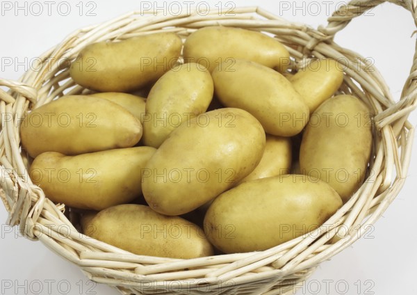 Potato, Potatoes (solanum tuberosum), Solanaceae, Charlotte Potato, Vegetable against white background