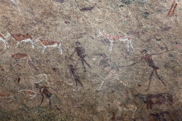 Archaeological rock drawing White Lady, Brandberg, Erongo, Namibia, Africa