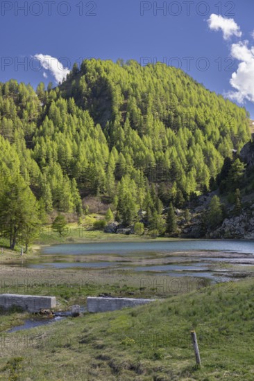 Lago Nero di Cesana, Italian Alps, Sestriere, Piedmont, Italy, Europe