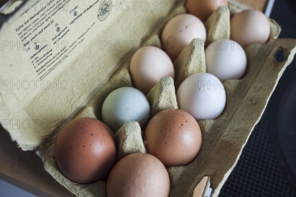 Eggs, green, white, brown, cardboard
