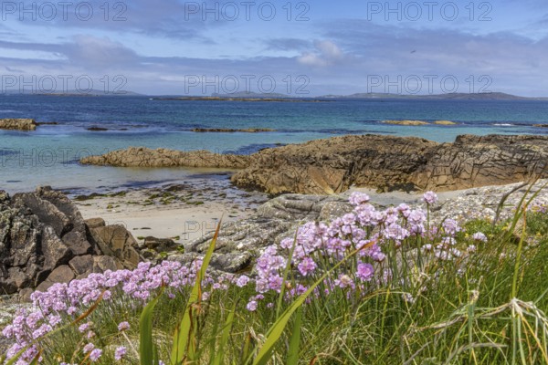 Anchor Beach, Connemara Coast, County Galway, Ireland, Europe