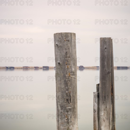 Pegs on the lake