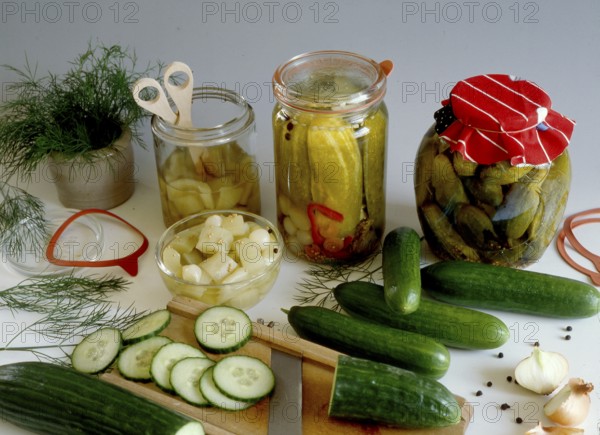 Preserved mustard gherkins and pickled cucumbers Still life