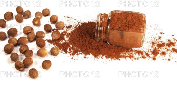 Nutmeg, myristica fragans, Nut falling on Nutmeg Powder against White Background