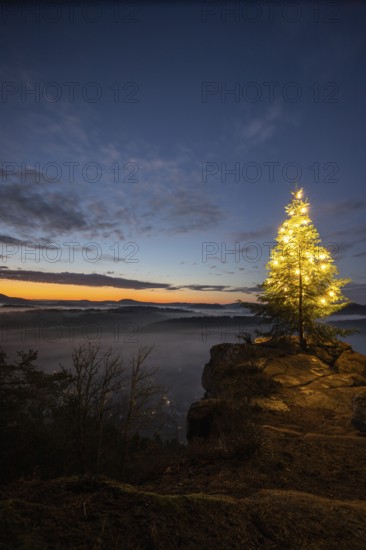 Exhilarating sunrise at the Wachtfelsen. Magical morning mist, clouds and a Christmas tree in the morning light, Wernersberg, Palatinate Forest