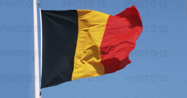 Belgian Flag Waving in the Wind against blue sky