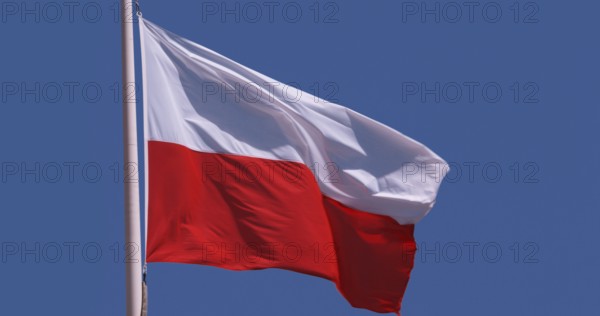Polish Flag Waving in the Wind against blue sky