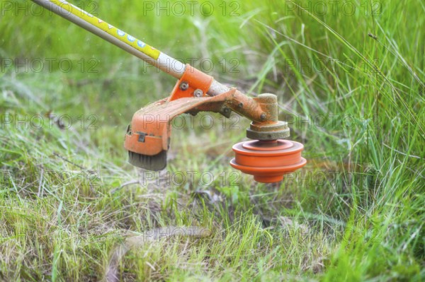 Gardener mowing grass by brush cutter in garden close up