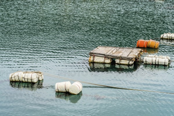 Styrofoam floats and wooden dock floating in water, South Korea, Asia