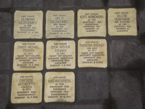 Stolpersteine freshly laid by the artist Gunter Demnig on 11/11/2021 in Magdeburg, Stolpersteine freshly laid by the artist Gunter Demnig on 11/11/2021 in Magdeburg