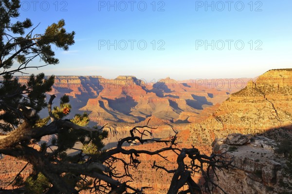 Grand Canyon