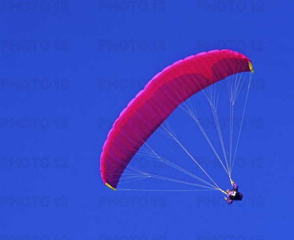 Purple, pink, paraglider in the blue sky