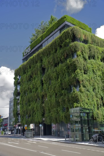 Facade greening, thermal insulation, greening, modern architecture, metropolis, urban, architecture, windows, building, glass facade, building facade, Swabia, Swabian, Swabia, Stuttgart, Neckar valley, Neckar, Baden-Württemberg, Germany, Europe