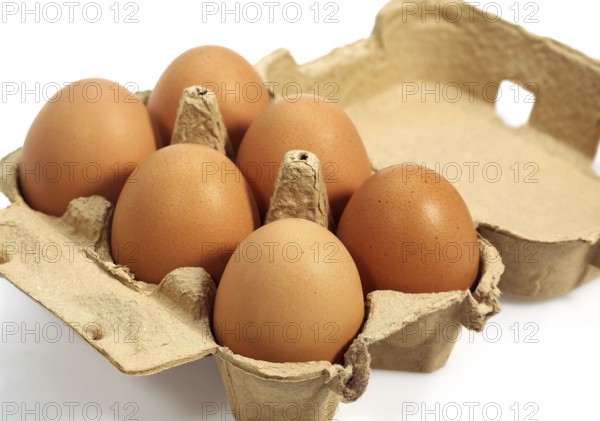Chicken egg, chicken eggs, eggs, CHICKEN EGGS IN EGGBOX on white background