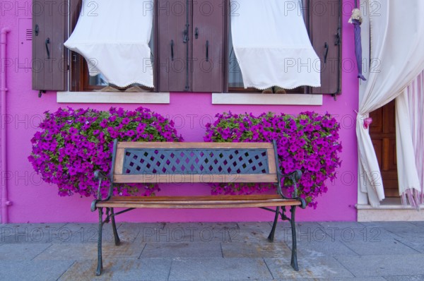 Italy Venice Burano island with traditional colorful houses