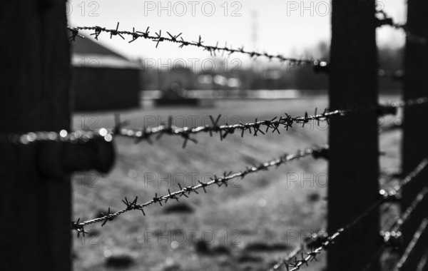 A black and white picture of the fences on the grounds of Auschwitz II, Birkenau