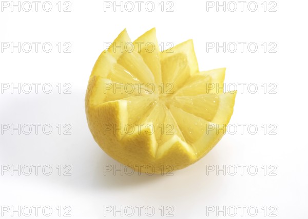 Um, lemon (Citrus limon), lemon tree rhombus, YELLOW LEMON Citrus lemon against white background