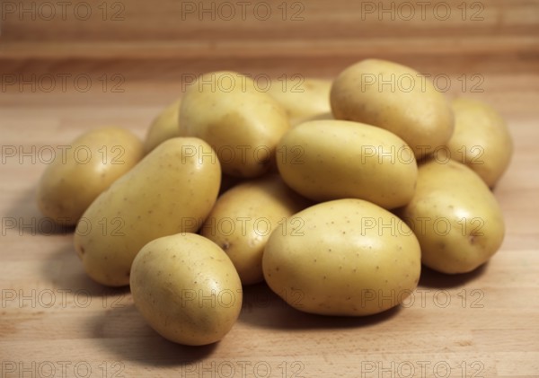 Mona Lisa Potato (Solanum tuberosum)