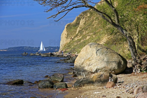 Stone beach Nonnenloch, peninsula Zicker, rocks, sailing ship, Baltic Sea, island Rügen, Germany, Europe