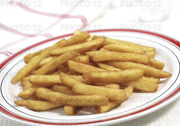 Plate with French Fries