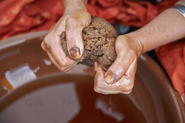 Argan oil being squeezed out of the Argon paste. Cooperative Marjana, Ounara, Essouira, Morocco, Near Essouara, Morroco, Africa
