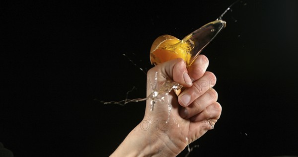 Hand of woman with a Chicken Egg against Black Background