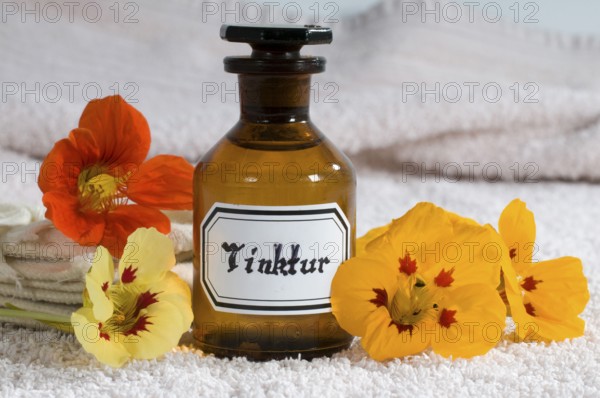 Nasturtium (Tropaeolum majus), nasturtium tincture (tincture)