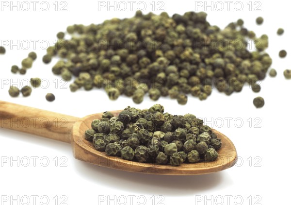 Real pepper, Black pepper, Pepper bush, Pepper family, Green Peppercorn, piper nignum, Green Berries against white background