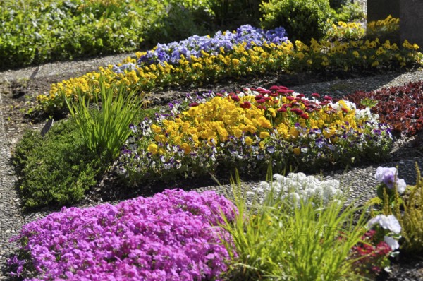 Cemetery, graves in spring, various flowers