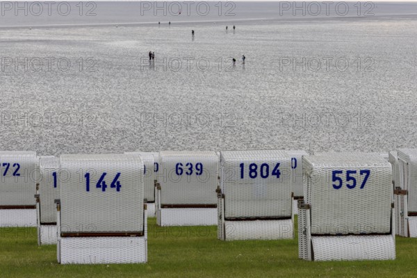 White beach chairs on the dyke and sand walkers, people walk on sand at low tide in front of Büsum, Büsum, Nordfriesland, Schleswig-Holstein, Germany, Europe