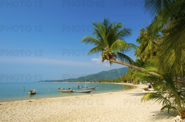Lamai Beach, Ko Samui Island, Thailand, Southern Thailand, Palm Beach, Palm Trees, Asia