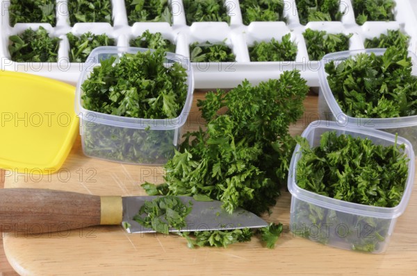 Chopped parsley (Petroselinum crispum), preparation for freezing, knife