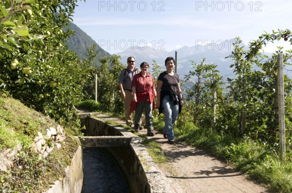 Hiker on Waalweg, Algund, Merano, South Tyrol, Italie (Hiker) on Waalweg, Algund, Merano, South Tyrol, Italy, Europe