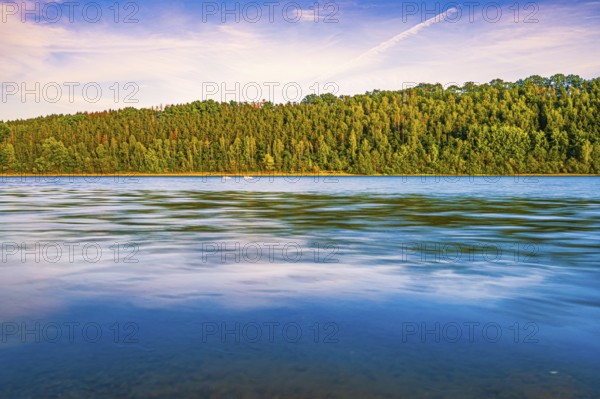 View of the coniferous forest at the Zeulenroda Sea at sunset, Zeulenroda-Triebes, Thuringia, Germany, Europe