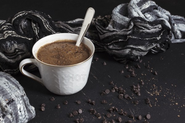 Sweet hot chocolate cacao chips. Resolution and high quality beautiful photo