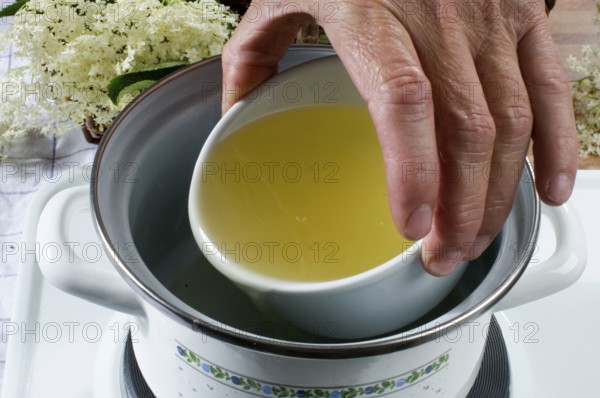Elder (Sambucus nigra), production of elderberry ointment, pot, cooking pot, stove, oven