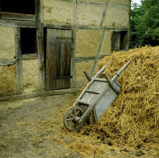 Barrow on the dung heap, farm