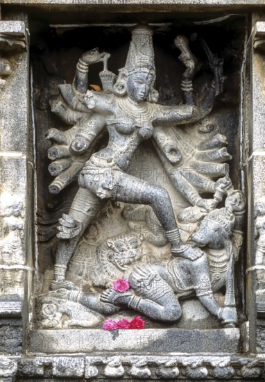 Mahishasuramardini Durga sculpture in Thillai Nataraja temple, Chidambaram, Tamil Nadu, South India, India, Asia