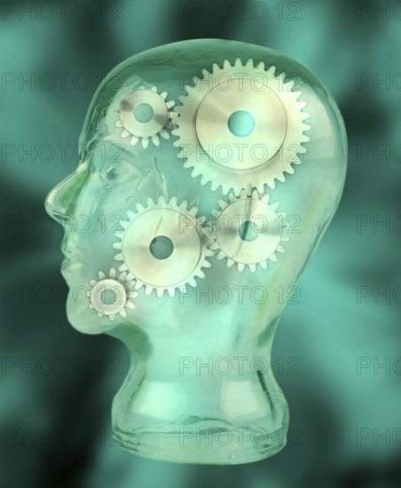 Symbolic Image of Head and Gears