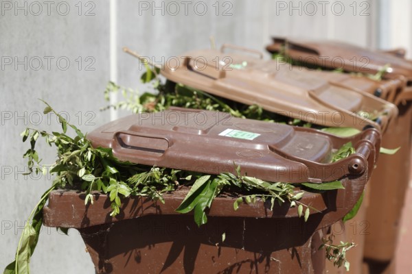 Organic bins, waste bins, Germany, Europe