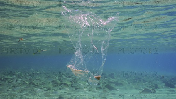Plastic bag floating underwater. Transparent plastic bag drifts under surface of water, tropical fish swim nearby. Plastic pollution of Ocean, Red sea, Safaga, Egypt, Africa