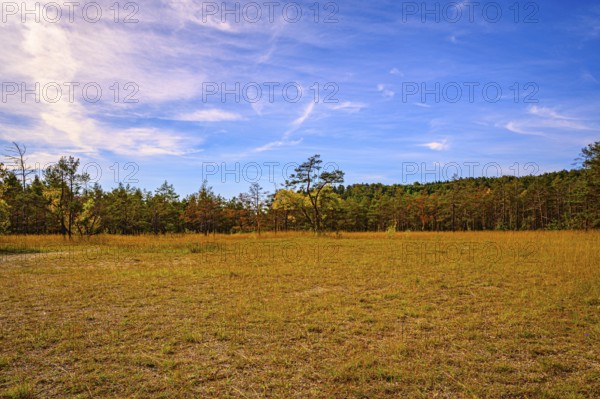 Meadow on the Mönchsberg quarry with blue sky and veil clouds, Jena, Thuringia, Germany, Europe