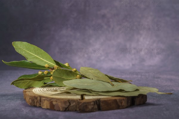 Bay leaves, dry and fresh on a wooden disk