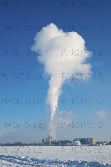 Smoke column or water vapour from the Südzucker factory, production of sugar from sugar beet (Beta vulgaris) at around minus 5 degrees Celsius in winter in Plattling, Bavaria, Germany, Europe