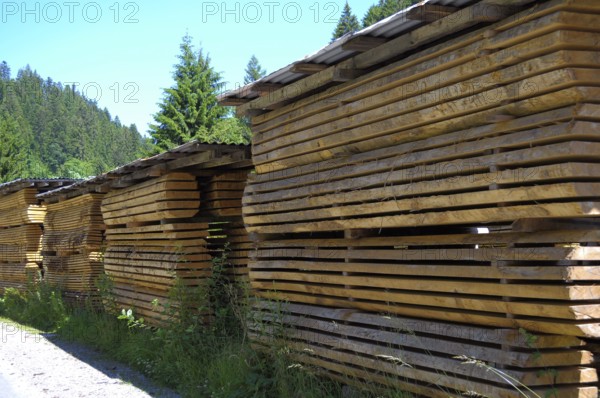Sawmill near Freudenstadt in the Black Forest, Baden-Württemberg, Germany, Europe